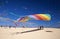 FUERTEVENTURA, SPAIN - NOVEMBER 10: Visitors enjoy beautiful display of flying kites of at 31th International Kite Festival,