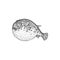 Fugu fish isolated japanese pufferfish sketch icon
