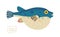 Fugu (pufferfish), cartoon style