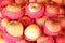 Fuji apples fruit with red foam covering