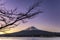 Fuji Lake Kawaguchiko at Chureito Pagoda