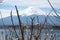 Fuji lanscape view with a kawaguchiko lake