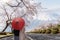 Fuji mountain with cherry blossom flower in April