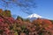 Fuji Mountain and Colourful Maple Leaves in autumn at Shiraito No Taki Waterfalls, Fujinomiya, Shizuoka, Japan