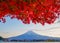 fuji mountain with maple in autumn,lakeside
