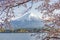 Fuji Mountain and Pink Sakura Branches at Kawaguchiko Lake, Japan