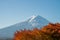 Fuji mountain and red maple leave in autumn season.