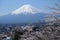 Fuji mountain and Sakura bloomimg at the entrace of Chureito Pagoda, Japan