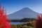 Fuji mountain view from Kawaguchi lake with blured Kochia plant.