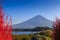 Fuji mountain view from Kawaguchi lake with blured Kochia plant.