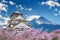 Fuji mountains and castle with cherry blossom in spring
