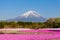 Fuji mt. with moss phlox field