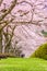 Fuji Reien Cemetery, Shizuoka, Japan in Spring