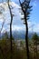 Fuji view from the top of the mountain Tenjo Yama. Landscape beautiful Mount Fuji. Mixed forest in top of the mountain TenjoYama,