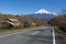 Fujisan at Lake Tanuki