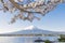 Fujisan and Sakura at Lake Kawaguchiko