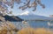 Fujisan and Sakura at Lake Kawaguchiko