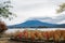 Fujisan is surrounded by lake with spectacular cloudy sky and Kochia scopa in kawaguchiko natural living center, ,Yamanashi,Japan.