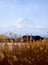 Fujiyama mount with grass foreground