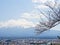 Fujiyama mountain with sakura branch 1