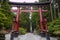 Fujiyoshida city, Japan - June 13, 2017; Red torii, Japanese gate to the Fujiyoshida Sengen Shrine