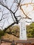 FUKUOKA, JAPAN - MARCH 30, 2017: Sign on a plum tree at Dazaifu