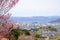 Fukushima City,Mt.Azuma,multicolor flowering trees as seen from Hanamiyama Park,Fukushima,Tohoku,Japan.