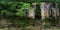 Full 360 degree panorama in equirectangular spherical projection in ancient tomb in the night forest. VR content
