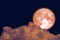 Full Beaver Moon back dark orange cloud on night sky