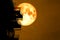 full blood moon over silhouette stair case and colorful sky