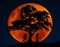 Full blood moon with southern cross stars in background as silhouette of a couple kissing under the Lebanese cedar tree