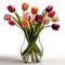 In Full Bloom: Vibrant Summer Tulips Flowers in Tall Vases, Isolated on White Background - Generative AI