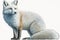 Full Body Arctic Fox watercolor, Beautiful Animal in Wildlife. Isolate on white background