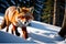 Full body close up of highly detailed photograph of fox