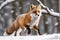 Full body close up of highly detailed photograph of fox