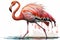 Full Body Flamingoes watercolor, Beautiful Bird. Isolate on white background