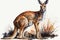 Full Body Kangaroo watercolor, predator animals wildlife.