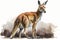 Full Body Kangaroo watercolor, predator animals wildlife.