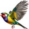 Full body portrait image of Gouldian Finch bird. AI-generated.