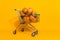 Full body portrait of supermarket trolley full pile stack pumpkin isolated on yellow color background