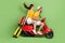 Full body profile portrait of two carefree crazy people drive moped fast speed  on green color background
