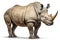 Full body rhino isolated on white background.