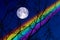 Full Buck Moon back on silhouette dry branch tree on night sky and rainbow