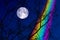 Full Buck Moon back on silhouette dry branch tree on night sky and rainbow