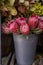 Full bucket of fresh cut pink King Protea flowers in a flower shop in autumn