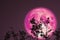 full cold moon on night sky plant and tree