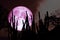 full cold pink moon on night sky and white cloud and silhouette cactus and desert plant tree