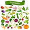 Full collection of different types of fresh and healthy vegetables