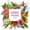 Full color realistic drawn exotic fruits, square banner