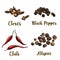 Full color realistic sketch illustration of allspice, cloves, black pepper and chili